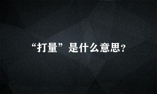 “打量”是什么意思？