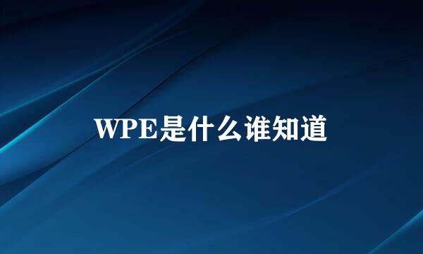 WPE是什么谁知道