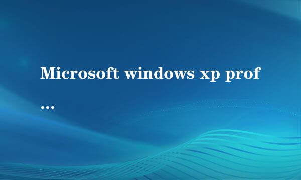 Microsoft windows xp professional sp3 这几个英文具体是什么意思?