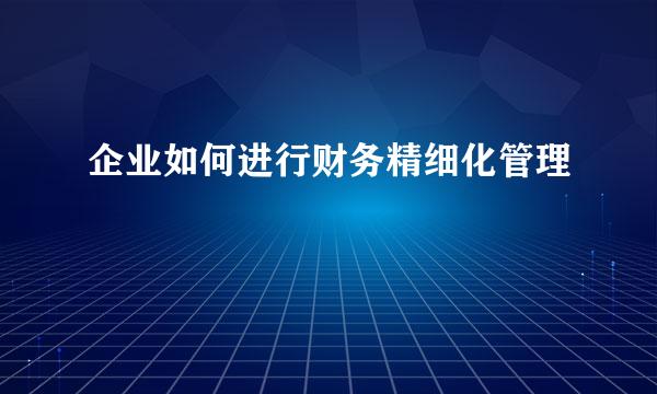 企业如何进行财务精细化管理