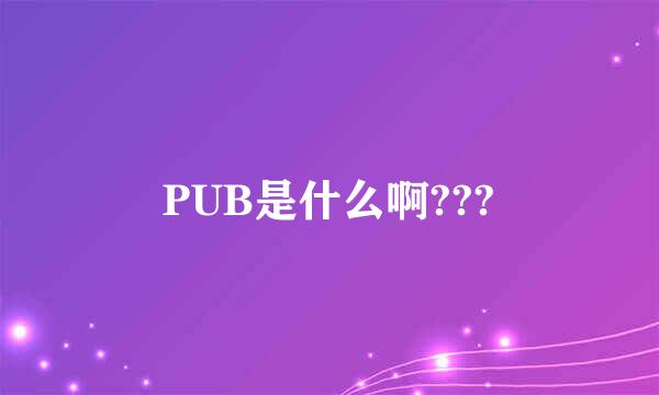 PUB是什么啊???