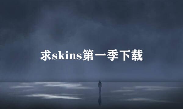 求skins第一季下载