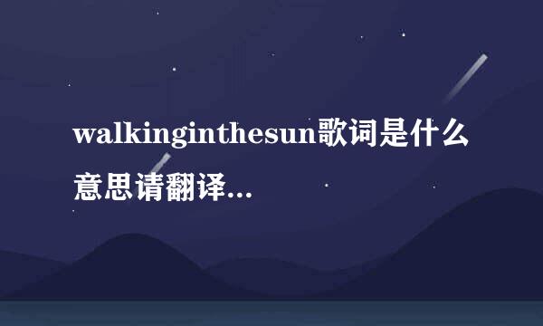 walkinginthesun歌词是什么意思请翻译下```