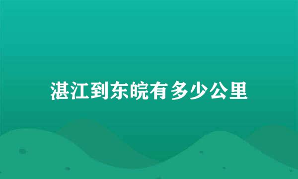 湛江到东皖有多少公里