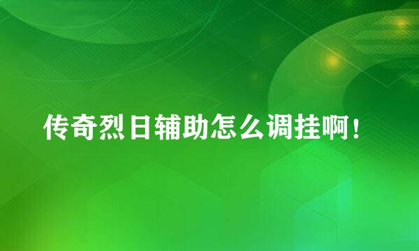 传奇烈日辅助怎么调挂啊！