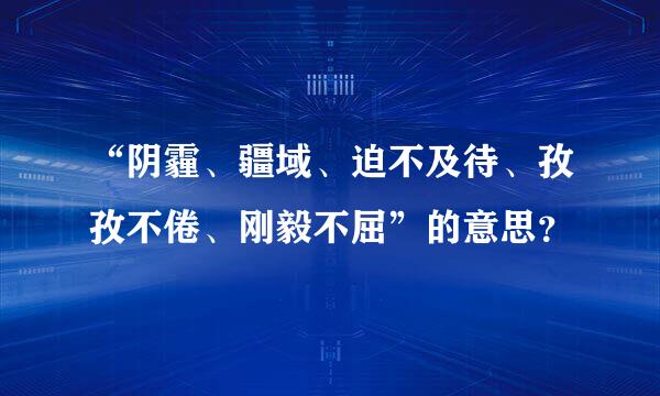 “阴霾、疆域、迫不及待、孜孜不倦、刚毅不屈”的意思？