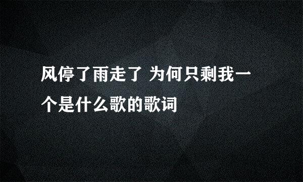 风停了雨走了 为何只剩我一个是什么歌的歌词