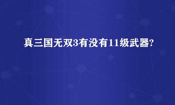 真三国无双3有没有11级武器?