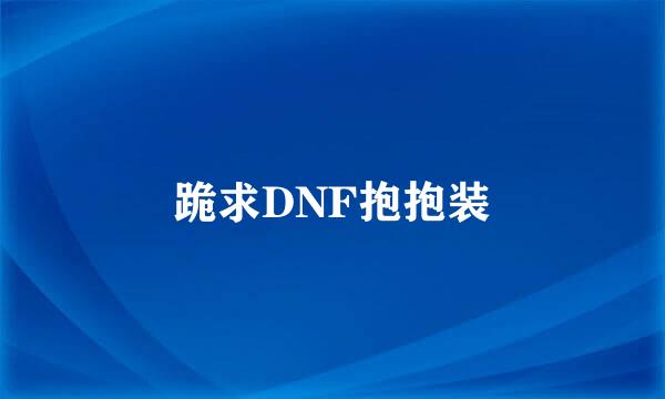 跪求DNF抱抱装