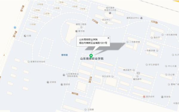 山东商务职业学院到底在烟台的哪个区？