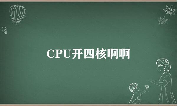 CPU开四核啊啊