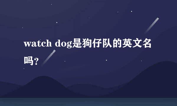 watch dog是狗仔队的英文名吗？