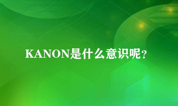 KANON是什么意识呢？