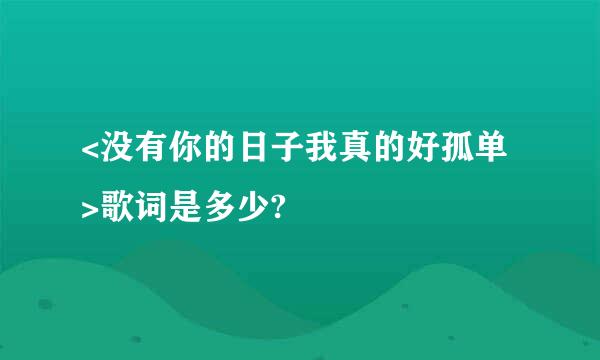 <没有你的日子我真的好孤单 >歌词是多少?