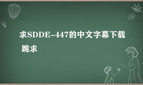 求SDDE-447的中文字幕下载 跪求