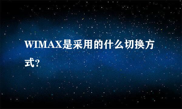 WIMAX是采用的什么切换方式？