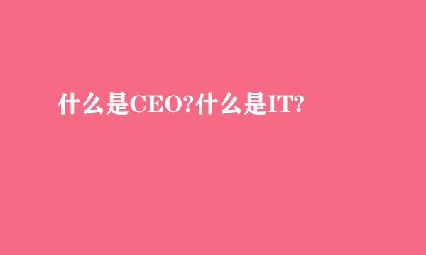 什么是CEO?什么是IT?