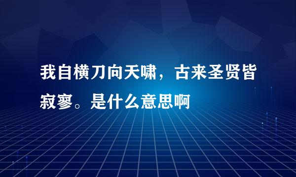 我自横刀向天啸，古来圣贤皆寂寥。是什么意思啊