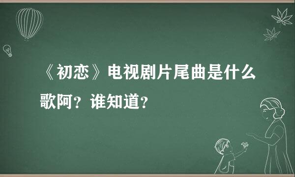 《初恋》电视剧片尾曲是什么歌阿？谁知道？