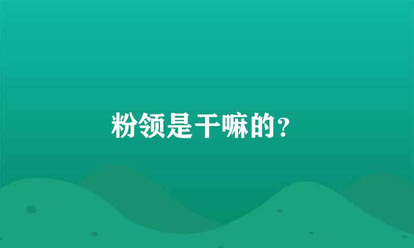 粉领是干嘛的？