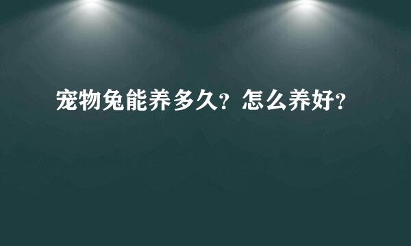 宠物兔能养多久？怎么养好？