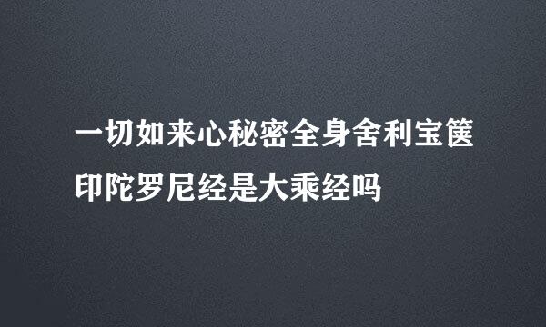 一切如来心秘密全身舍利宝箧印陀罗尼经是大乘经吗