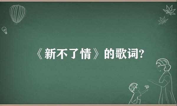 《新不了情》的歌词?