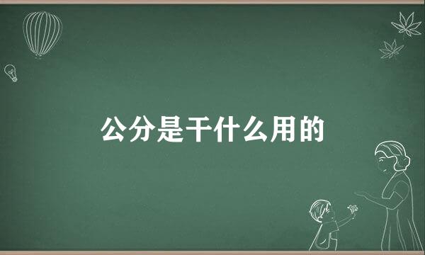 公分是干什么用的