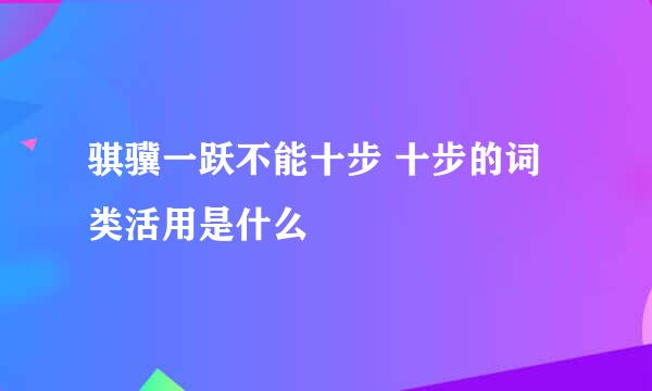 骐骥一跃不能十步 十步的词类活用是什么