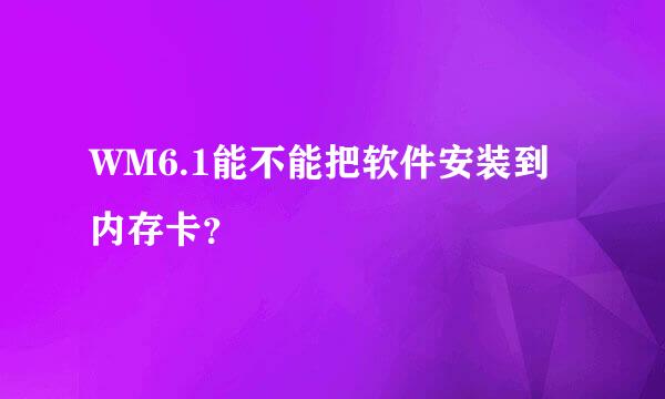 WM6.1能不能把软件安装到内存卡？