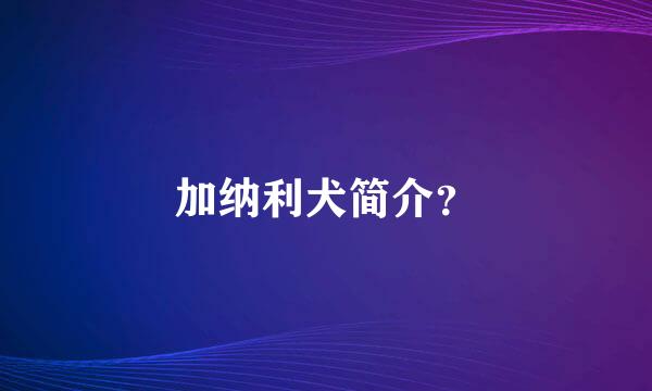 加纳利犬简介？