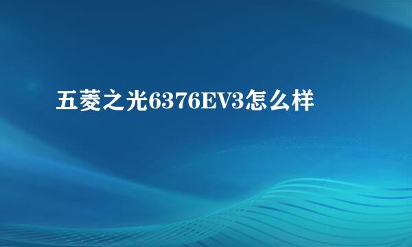 五菱之光6376EV3怎么样