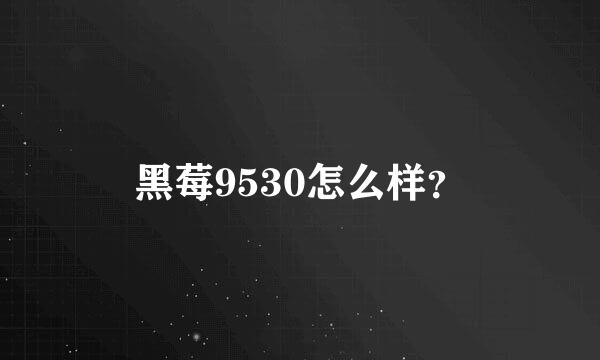 黑莓9530怎么样？