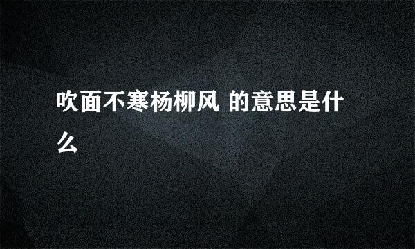 吹面不寒杨柳风 的意思是什么