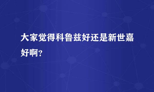 大家觉得科鲁兹好还是新世嘉好啊？