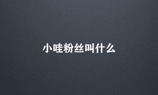 小哇粉丝叫什么