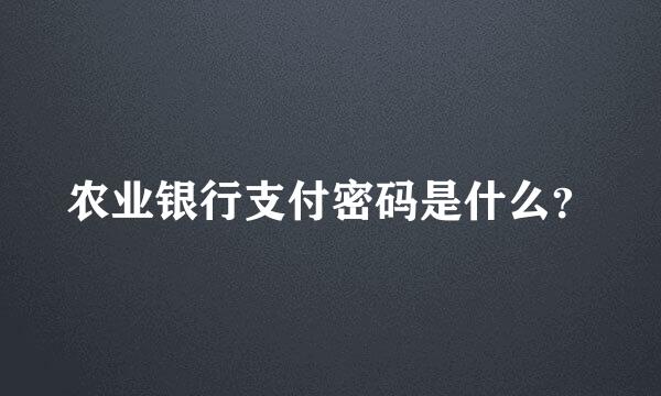 农业银行支付密码是什么？