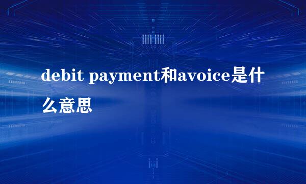 debit payment和avoice是什么意思