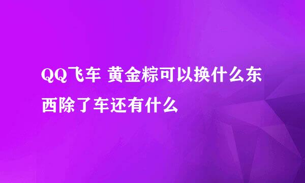 QQ飞车 黄金粽可以换什么东西除了车还有什么