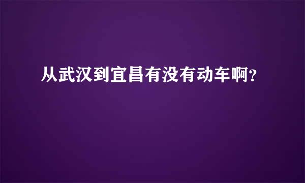 从武汉到宜昌有没有动车啊？