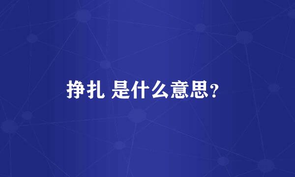 挣扎 是什么意思？