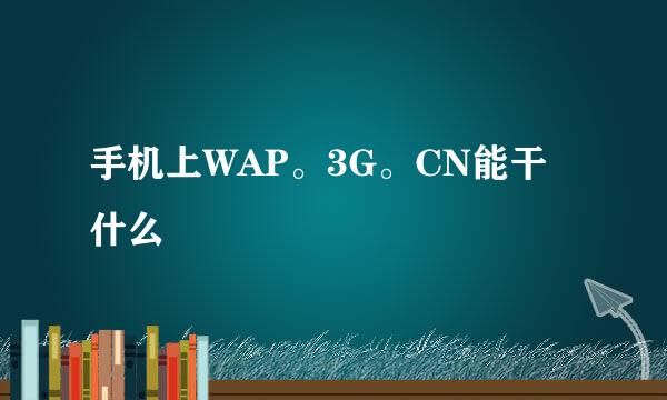 手机上WAP。3G。CN能干什么