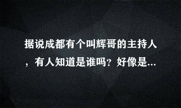 据说成都有个叫辉哥的主持人，有人知道是谁吗？好像是成都电视台还是电台来着，据说是美食节目