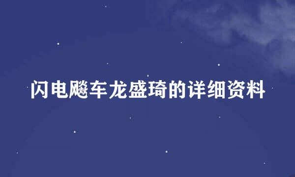 闪电飚车龙盛琦的详细资料