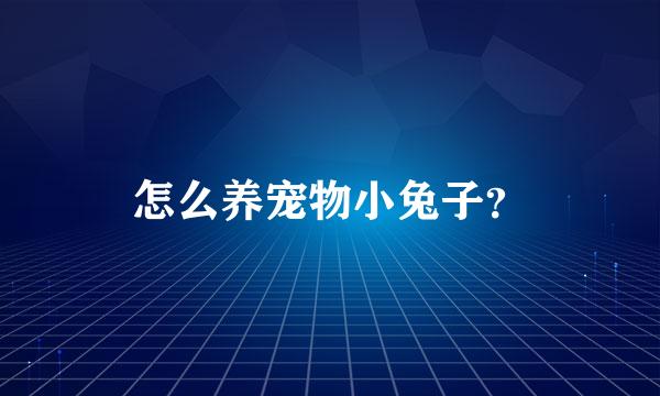 怎么养宠物小兔子？