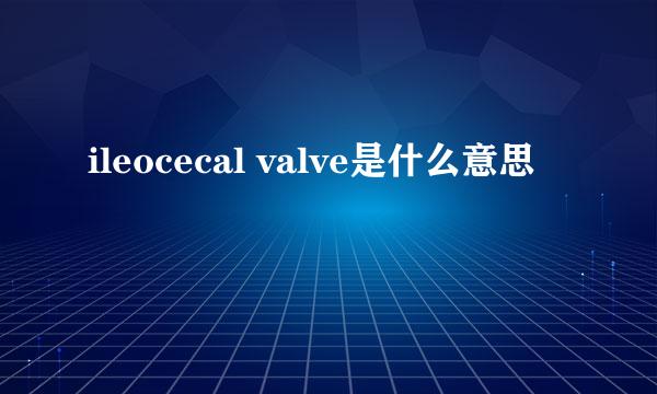 ileocecal valve是什么意思