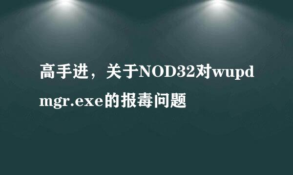 高手进，关于NOD32对wupdmgr.exe的报毒问题