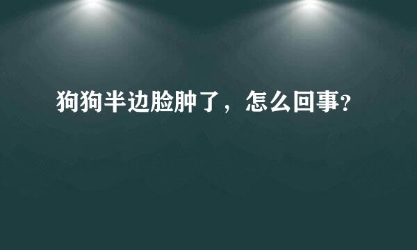 狗狗半边脸肿了，怎么回事？