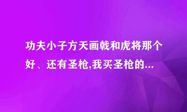 功夫小子方天画戟和虎将那个好、还有圣枪,我买圣枪的打算不大 但看来很强,从防反跟鬼来说 谢谢