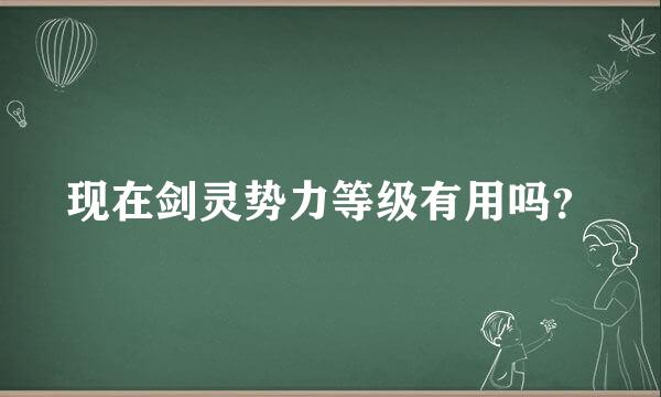 现在剑灵势力等级有用吗？